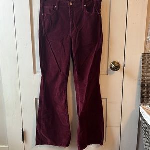 Celebrity Pink flare jeans